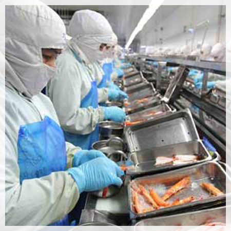 PPE Market for Food Processing Industry 