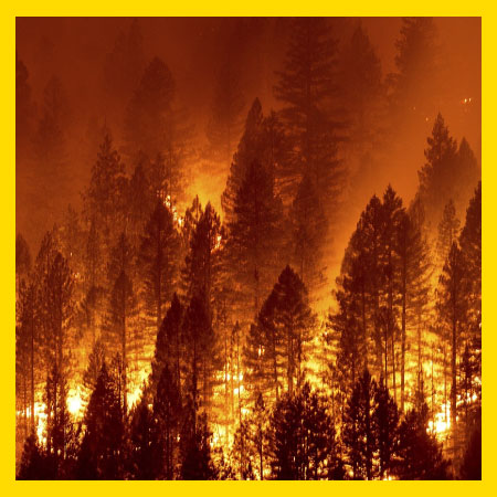 West Coast Expands Wildfire Protections for Workers